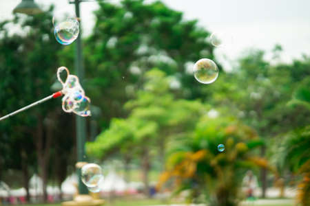Close up Soap bubbles floating in the garden park.(Selective focus)の写真素材
