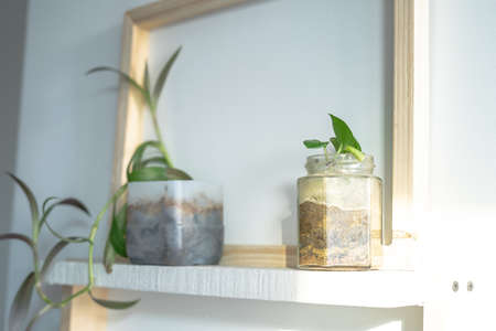White and wooden shelves furniture and in stylish a room. Dapple light during sunrise. Scandinavian modern korean style.の写真素材