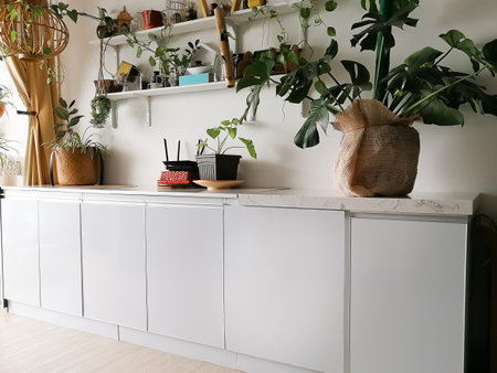 White cabinet with houseplants in room. Home decor and tree lover conceptの写真素材