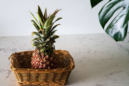 single whole pineapple on white wall and marble table backgroundの写真素材