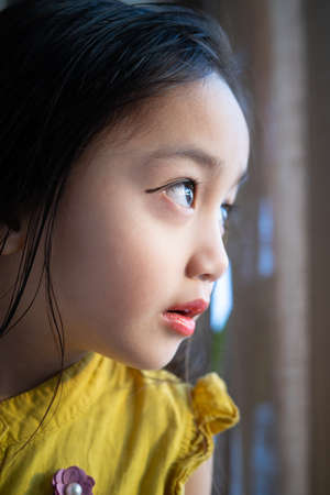 Asian good looking little girl wearing make up child is smiling, Happy little girl with beautiful dress.の写真素材