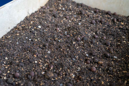 Soil in a wooden planter box.