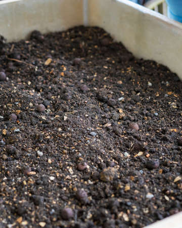 Soil in a wooden planter box.の写真素材
