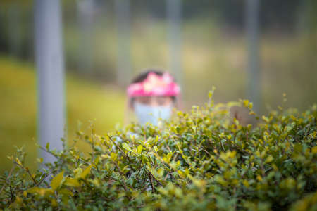 Green bushes with bokeh, out of focus little girl wearing face shield in the background.の写真素材