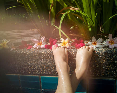 group of Frangipani flowers blooming near swimming poolの写真素材