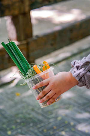 Variety of Animal foods for feeding in a bucket. A trip to the petting zoo.の写真素材