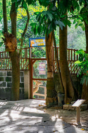 Kuala Lumpur, Malaysia - Oct 14, 2021 : Deer Land cage at Farm in the city petting zoo.のeditorial素材
