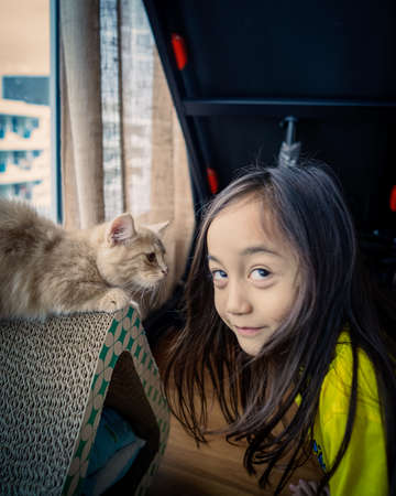 Munchkin cat looking a the little girl. Pets love.の写真素材