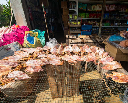 Kuantan, Malaysia - May 12, 2022 : Row of dried squid for sale at the shop.のeditorial素材