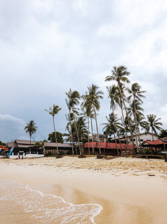 Redang, Malaysia - May 10, 2022 : Beach resort hotel landscape decoration with coconut trees.のeditorial素材