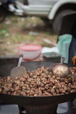 Cooked Blood Cockles on the plate, close-up.の写真素材