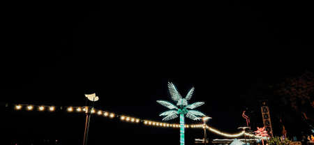 Colourful LED trees at the park at night.の写真素材