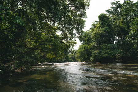 Upstream river at Sungai Kampar, Gopeng, Perak.の写真素材