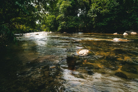 Upstream river at Sungai Kampar, Gopeng, Perak.の写真素材