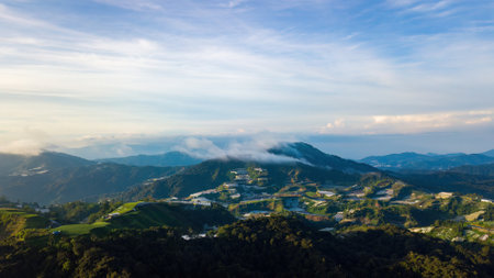 Mountain valley in contrasting morning light in Cameron Highlands.の写真素材