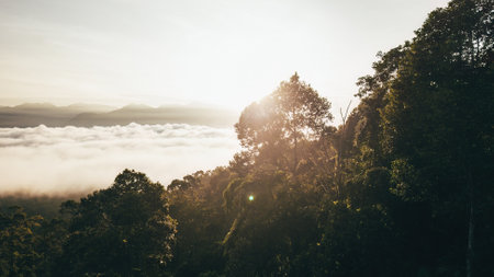 Sea clouds during golden sunrise above the Titiwangsa range mountains in Lenggong, Perak.の写真素材