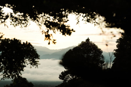 Sea clouds during golden sunrise above Titiwangsa mountains in Lenggong, Perak.