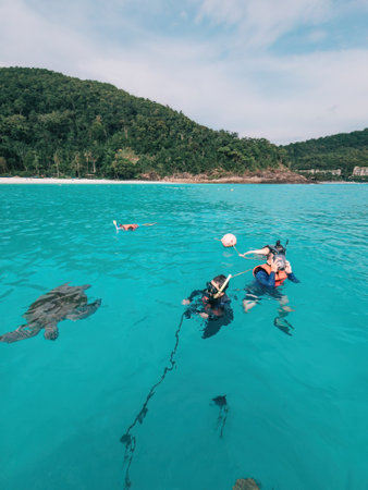 Group of tourists are snorkeling together with the turtles in Pulau Redang.の写真素材