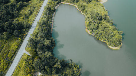 Green lake and rainforest tropical trees in Kuala Kubu Bharu, Malaysia.の写真素材