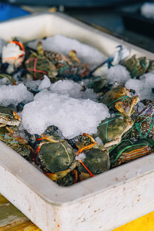 Fresh crabs with ice in a box at the market.の写真素材