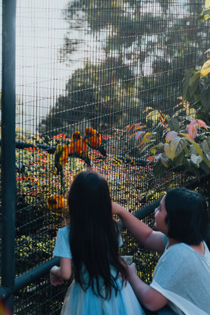 Blurry view of the Sun Conure parrot bird group in the metal cage being fed by children.