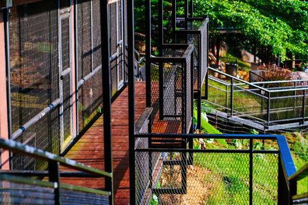 Black metal stairs with wooden walkaway at the industrial architecture building in Malaysia.の写真素材