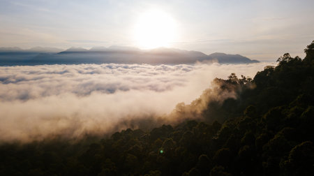 Sunrise of the mountain with the sea of clouds near the rainforest jungle.
