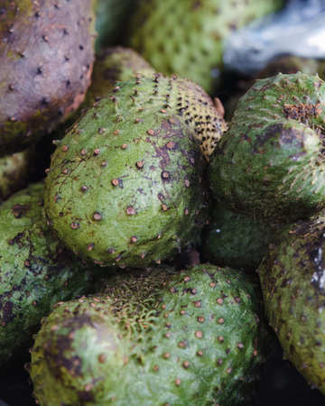 Closeup of the green skinned fresh soursop fruit with a sweet and sour taste full of vitaminsの写真素材
