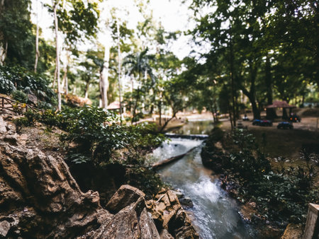 Cave stone near the small stream garden in Perlis, Malaysia.の写真素材