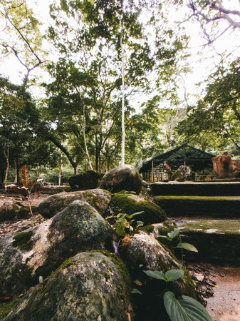 Stones covered with moss in the garden in Perlis, Malaysia.の写真素材