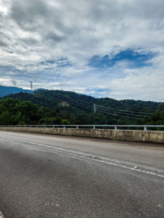 Empty road near the rainforest jungle.の写真素材