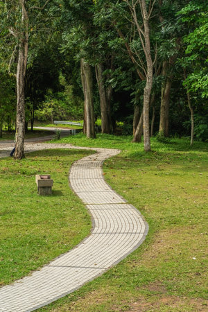 A city park with walking path and green zone trees in a sunny day.の写真素材