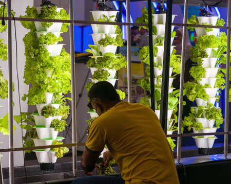 Putrajaya, Malaysia - Aug 10, 2022 vertical hydroponic gardens, tower hydroponic gardens using pipes at the MAHA or Malaysia Agricutural Expo.のeditorial素材