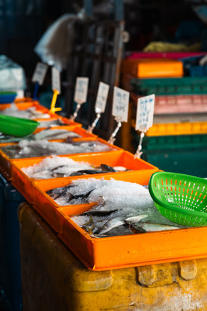 seafood in shredded ice in the yellow containers for sale at the fish marketの写真素材