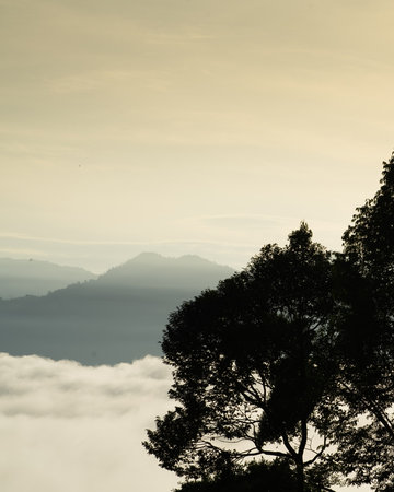 Sea clouds during golden sunrise above Titiwangsa mountains in Lenggong, Perak.
