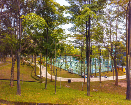 Semenyih, Malaysia - December 17, 2022 Group of people from various races doing Zumba dances in the morningat the recreational parkの写真素材