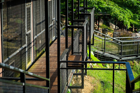 Metal deck walkaway on the terrace of the hill during sunrise.
