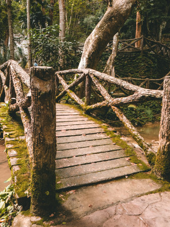 Cement looks like wooden bridge, covered with moss in the Malaysian rainforestの写真素材