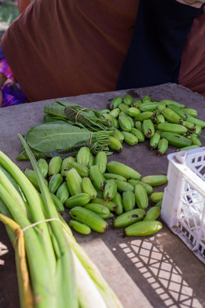 Starfruit or also called vegetable starfruit, starfruit acid or starfruit reed is a plant that has acidic fruit that is rich in properties often used as a vegetable or herbs mixture.の写真素材