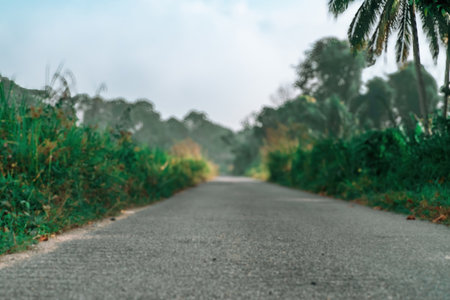 Blurry photo an empty asphalt road in the village surrounded by the green bushes in the morning.の写真素材