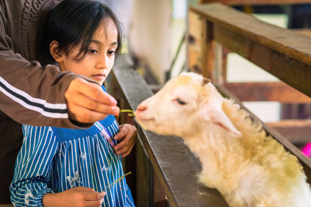 Putrajaya, Malaysia - September 19, 2024 Young girl is feeding the goat with hay.の写真素材