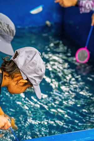 Kid wearing a cap using a fishing net  in a fish pond. Viewed from behind.の写真素材