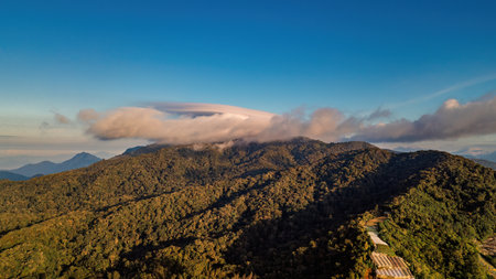 Mountain valley in contrasting morning light in Cameron Highlands.の写真素材