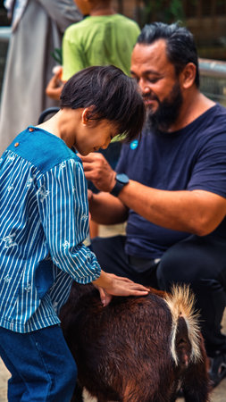 A little girl is petting the animal at a mini farm.の写真素材