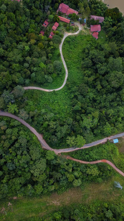 Road through the green rainforest. Aerial top view forest on misty fog morning. Ecosystem and healthy environment concept and background.の写真素材