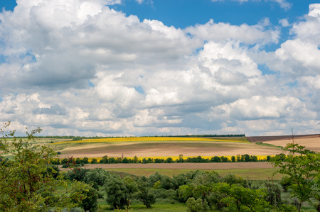Varicoloured fields and trees. Cloudy.