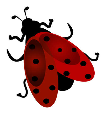 Cute ladybug flying. Cartoon character illustration.