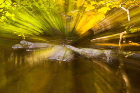 Abstract autumn water, lens zoom.の写真素材