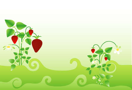 Background with strawberry motif, place for textのイラスト素材