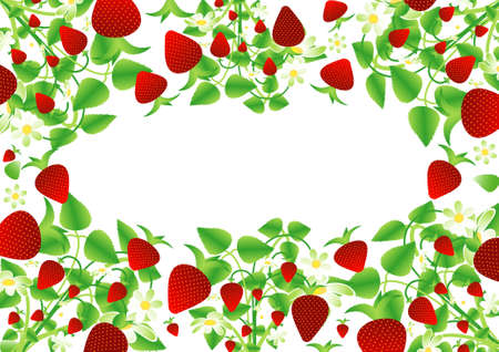 Background, Strawberry frameのイラスト素材